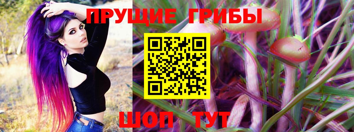 Псилоцибиновые грибы Cubensis  Вход с VPN  Галлюциногенные грибы MAGIC MUSHROOMS  Хабаровск 